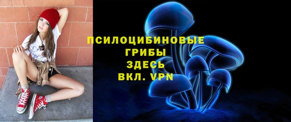 крисы Арсеньев