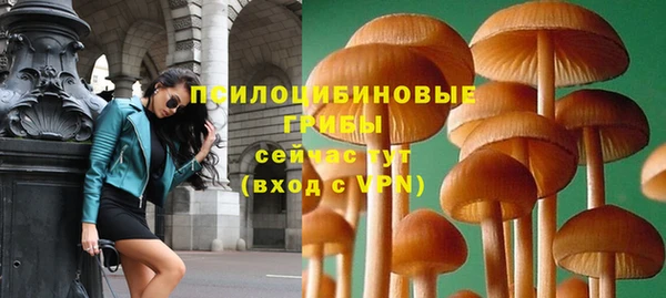 крисы Арсеньев