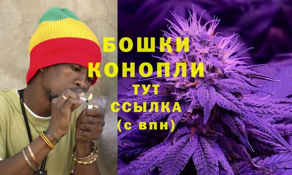 прущие крисы Армянск