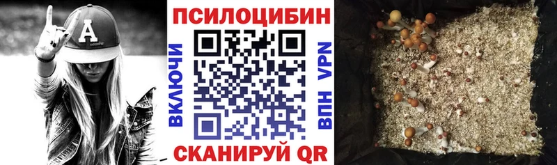 закладки  Солнечногорск  Псилоцибиновые грибы мухоморы 
